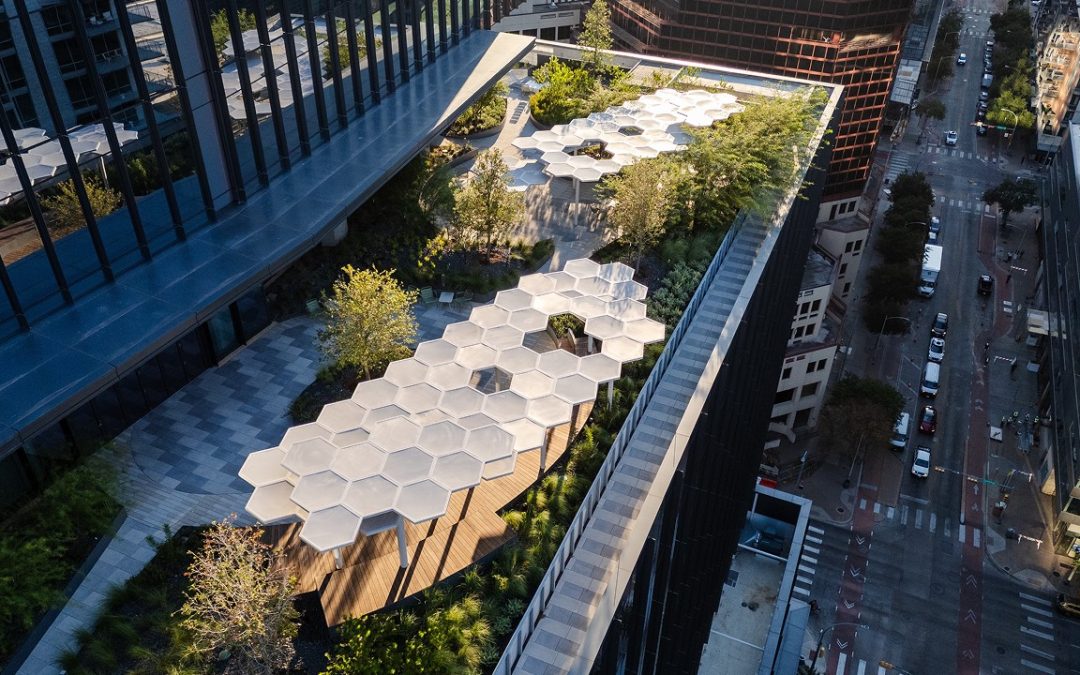 The Republic: Elevating Downtown Austin