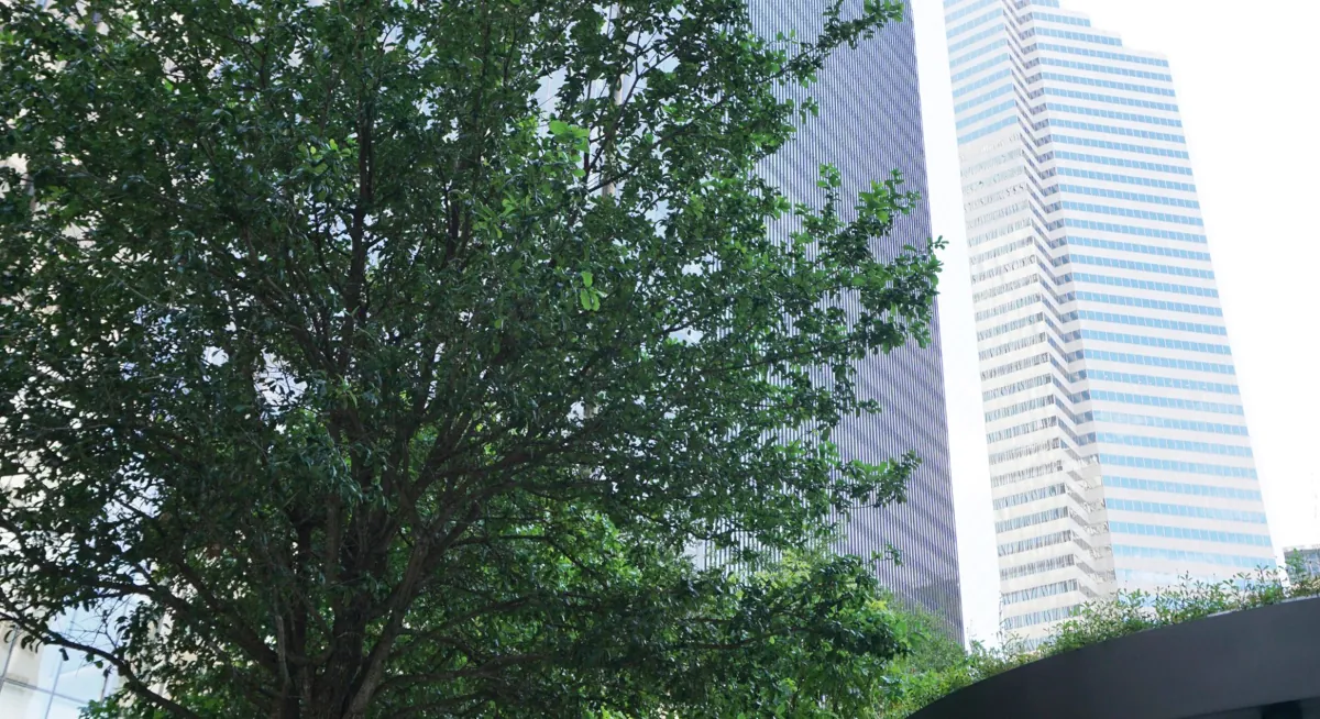 Landscaped greenery with custom planters in front of the modern 1001 Fannin building, highlighting Renfrow+Co's work on outdoor structures and planters Landscaped greenery with custom planters in front of the modern 1001 Fannin building, highlighting Renfrow+Co's work on outdoor structures and planters