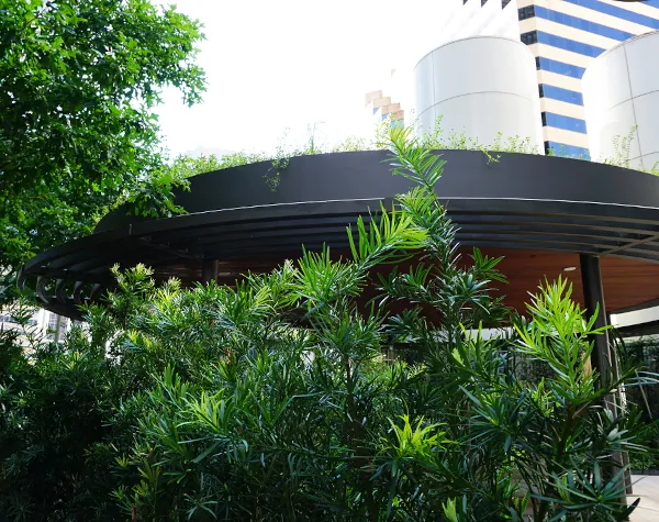 Close-up of Renfrow+Co's uniquely shaped pavilion featuring a wood-paneled ceiling and steel structure, complemented by custom planters with lush vegetation at the 1001 Fannin building in Houston Close-up of Renfrow+Co's uniquely shaped pavilion featuring a wood-paneled ceiling and steel structure, complemented by custom planters with lush vegetation at the 1001 Fannin building in Houston