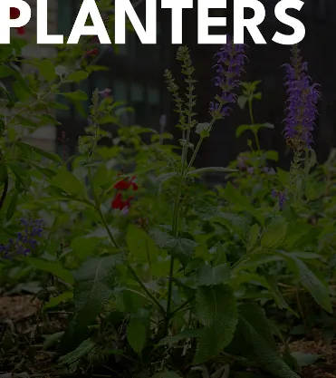 Custom planters designed by Renfrow+Co, highlighting their fabrication services for architectural landscaping