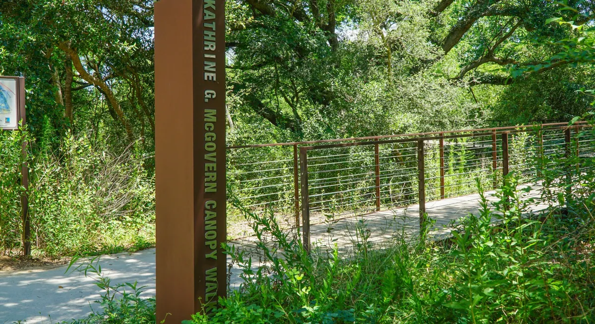 Kathrine G. McGovern Canopy Walk entrance with a metal signpost and cable-railed elevated walkway surrounded by dense greenery Kathrine G. McGovern Canopy Walk entrance with a metal signpost and cable-railed elevated walkway surrounded by dense greenery