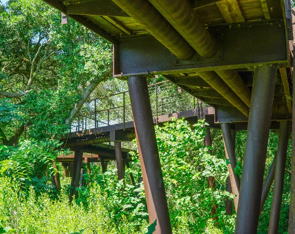 View from underneath the High Island Sky Walk showing the weathered steel support beams and elevated walkway through lush green foliage, fabricated and installed by Renfrow+Co View from underneath the High Island Sky Walk showing the weathered steel support beams and elevated walkway through lush green foliage, fabricated and installed by Renfrow+Co