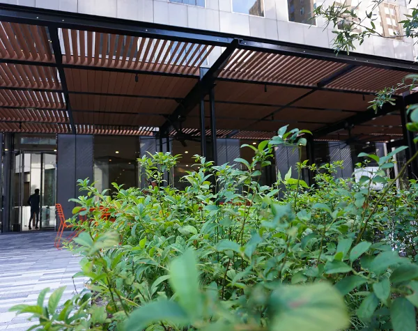 Outdoor seating area surrounded by greenery with overhead wooden slats providing shade at JPMorgan Chase Tower, featuring Renfrow+Co’s custom metal and woodwork